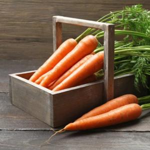 Морковная ботва - продукт не менее ценный, чем корнеплод Чем посыпать морковную ботву после сбора