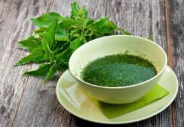 Beneficial properties of nettle and contraindications for use