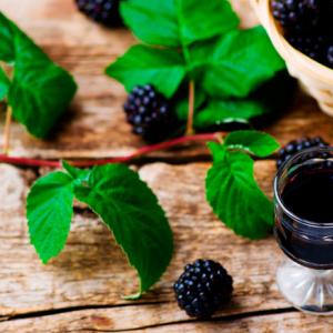 Лучшие рецепты домашних настоек на водке Настойка из нескольких видов ягод на водке