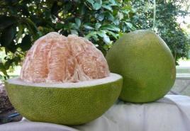 Exotic vitamin fruit pomelo - what is customary to give on New Year's Day in the East?