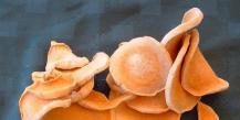 Dried pumpkin or candied pumpkin: a recipe for cooking at home How to dry pumpkin in a dryer recipes