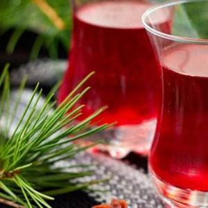 Intoxicating sweets: seven recipes for berry liqueurs Which berries can be used to make a liqueur